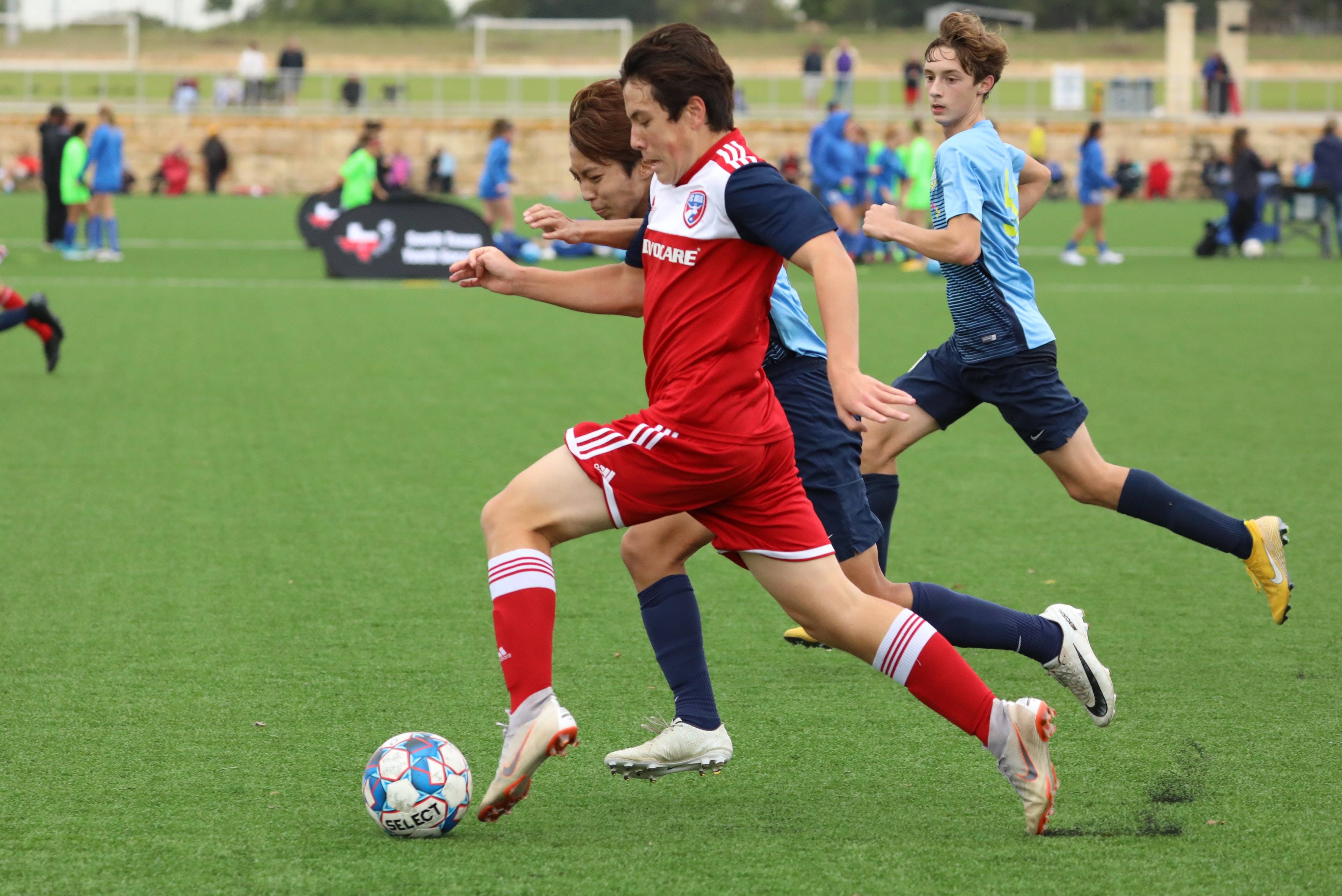 这种全面性 这种全面性